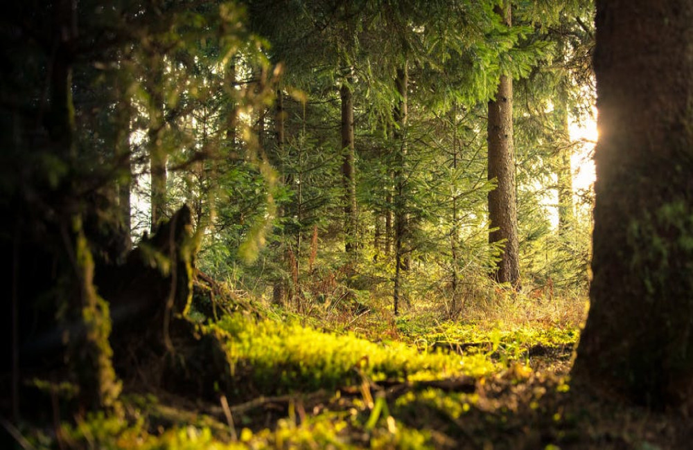 Een bedrijfsuitje naar Slovenië? De perfecte bestemming voor teambuilding en avontuur!